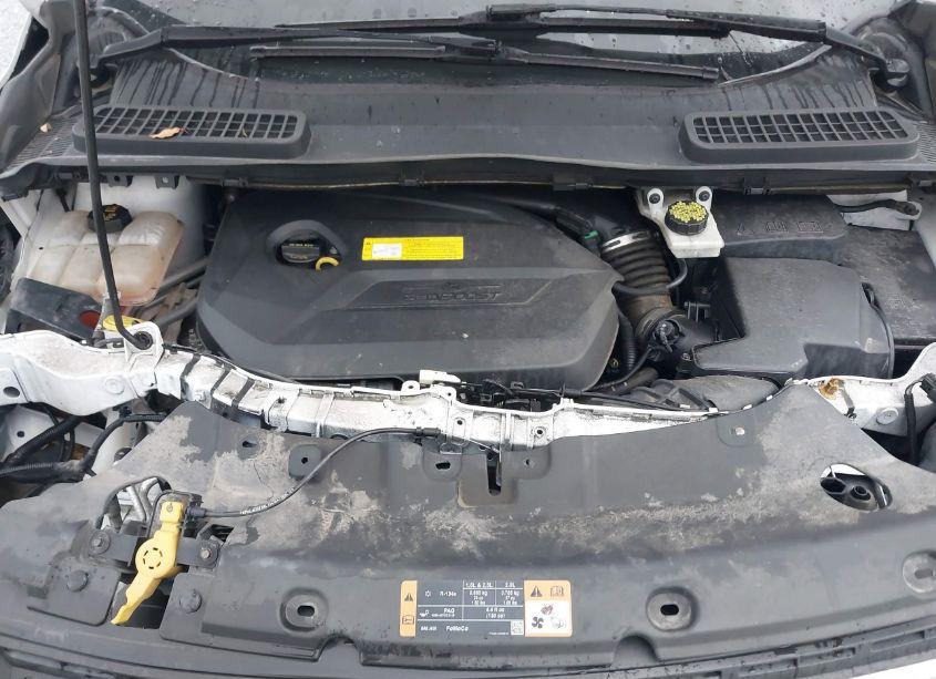 Photo 10 of 2016 Ford Escape SE (VIN 1FMCU9GX0GUB78756)