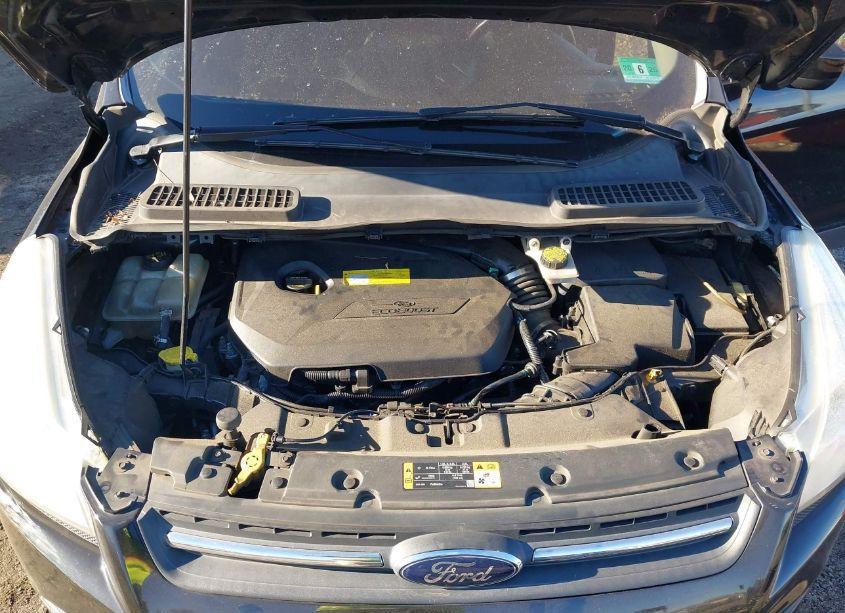 Photo 10 of 2016 Ford Escape SE (VIN 1FMCU9GX0GUC13733)