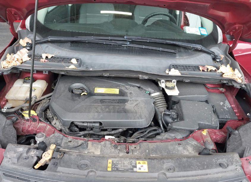 Photo 10 of 2013 Ford Escape SE (VIN 1FMCU9GX1DUB49827)