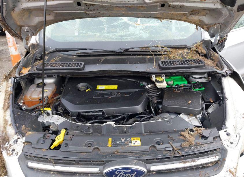 Photo 10 of 2013 Ford Escape SE (VIN 1FMCU9GX1DUC37664)