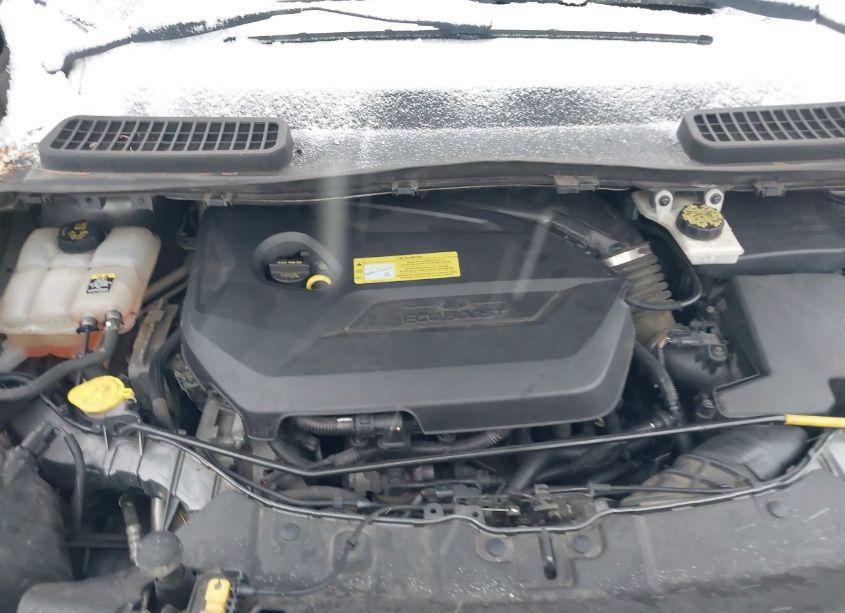 Photo 10 of 2013 Ford Escape SE (VIN 1FMCU9GX1DUC51578)