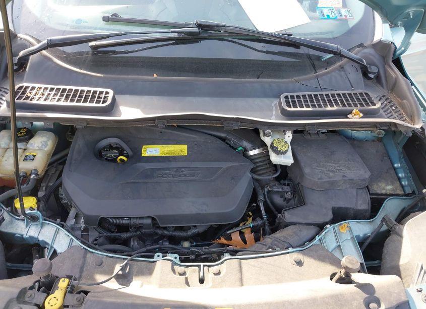 Photo 10 of 2013 Ford Escape SE (VIN 1FMCU9GX1DUD31527)