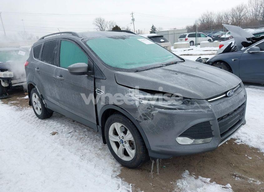 2014 Ford Escape SE (VIN 1FMCU9GX1EUA02084) main photo