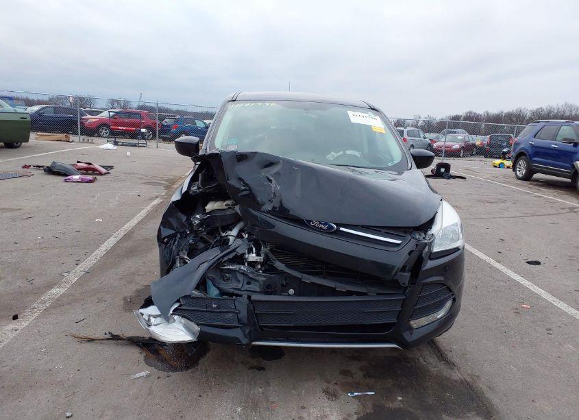 Photo 12 of 2014 Ford Escape SE (VIN 1FMCU9GX1EUA12291)