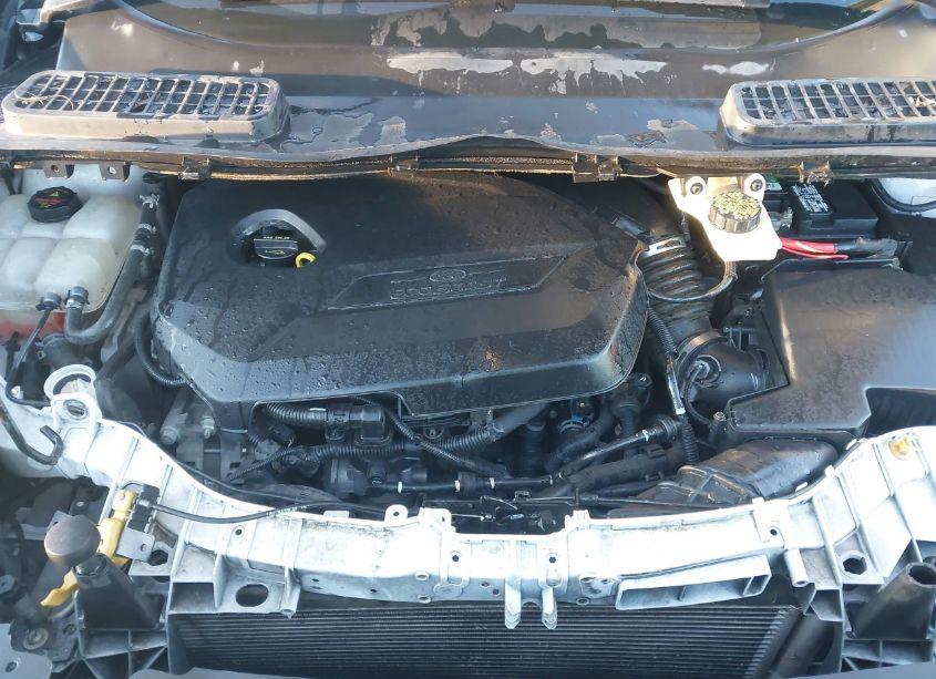 Photo 10 of 2014 Ford Escape SE (VIN 1FMCU9GX1EUC01488)