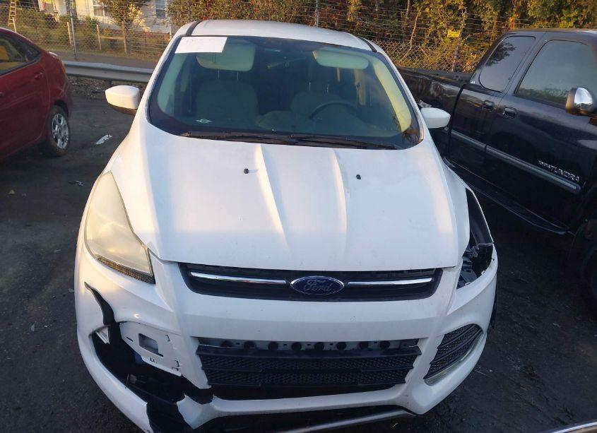 Photo 13 of 2014 Ford Escape SE (VIN 1FMCU9GX1EUC01488)