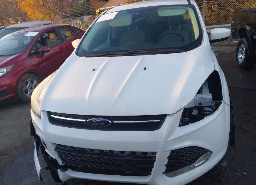 Photo 6 of 2014 Ford Escape SE (VIN 1FMCU9GX1EUC01488)