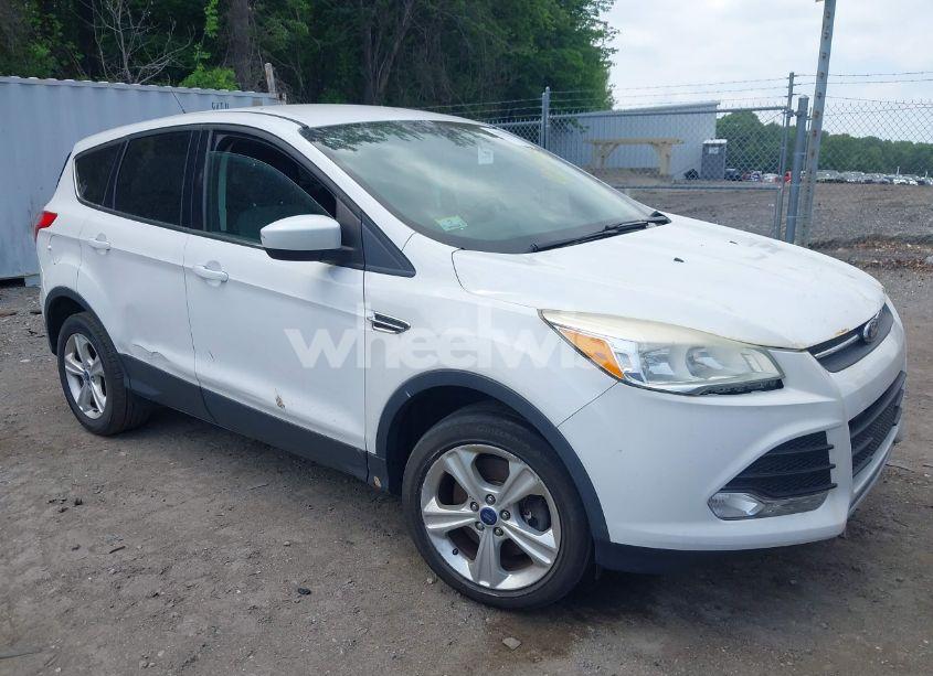 2014 Ford Escape SE (VIN 1FMCU9GX1EUD66666) main photo