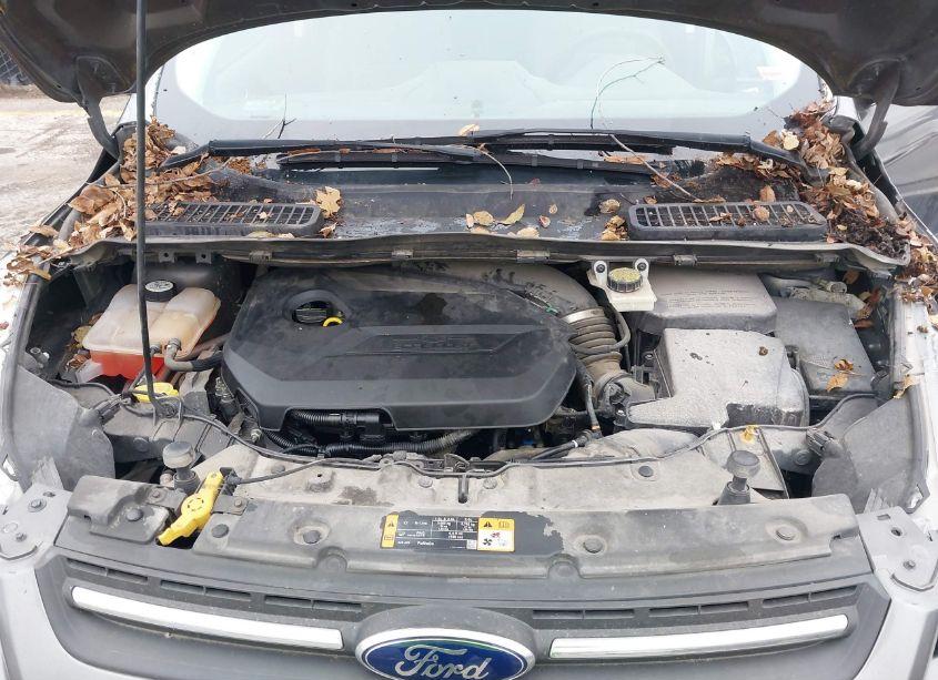 Photo 10 of 2014 Ford Escape SE (VIN 1FMCU9GX1EUD72239)