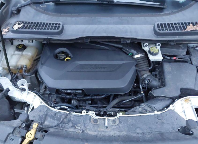 Photo 10 of 2014 Ford Escape SE (VIN 1FMCU9GX1EUE23030)