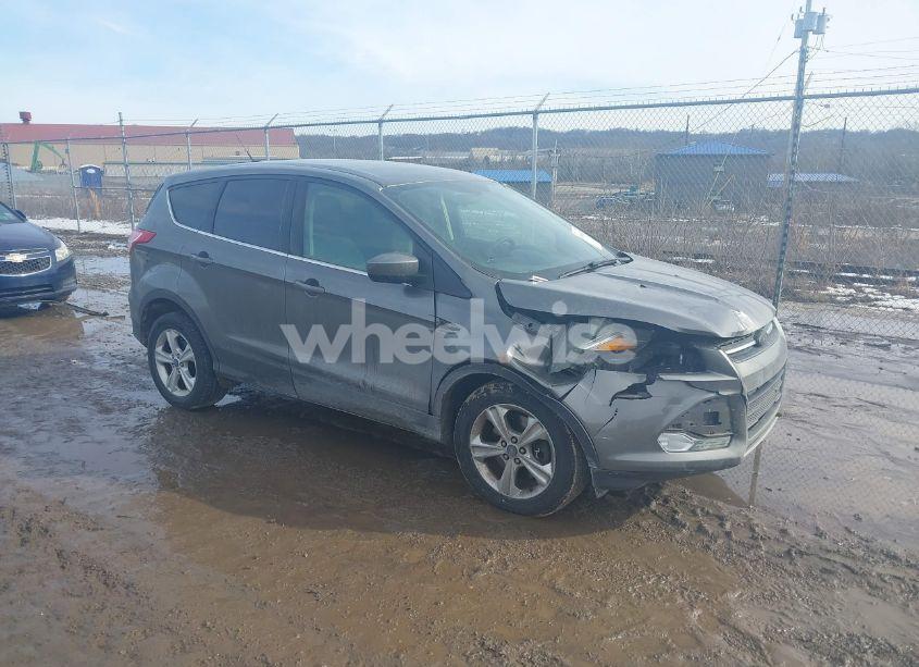 2014 Ford Escape SE (VIN 1FMCU9GX1EUE48784) main photo