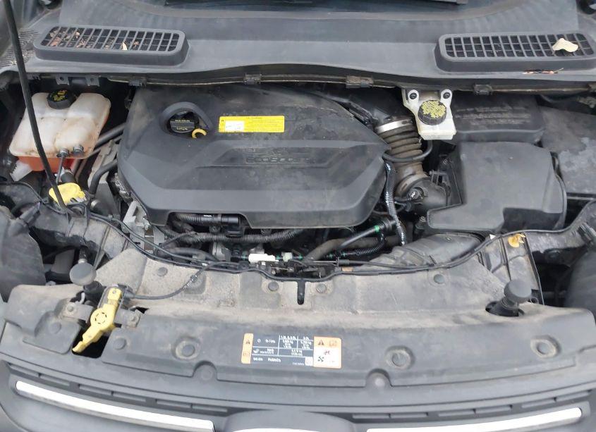 Photo 10 of 2015 Ford Escape SE (VIN 1FMCU9GX1FUA97859)