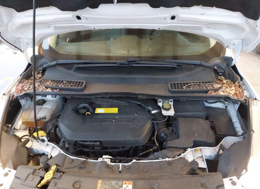 Photo 10 of 2015 Ford Escape SE (VIN 1FMCU9GX1FUB82510)