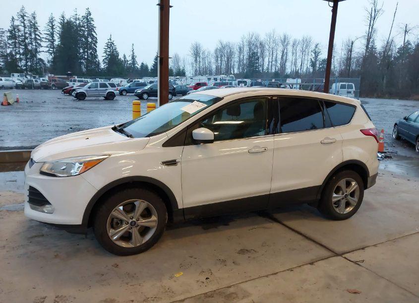 Photo 14 of 2015 Ford Escape SE (VIN 1FMCU9GX1FUB82510)
