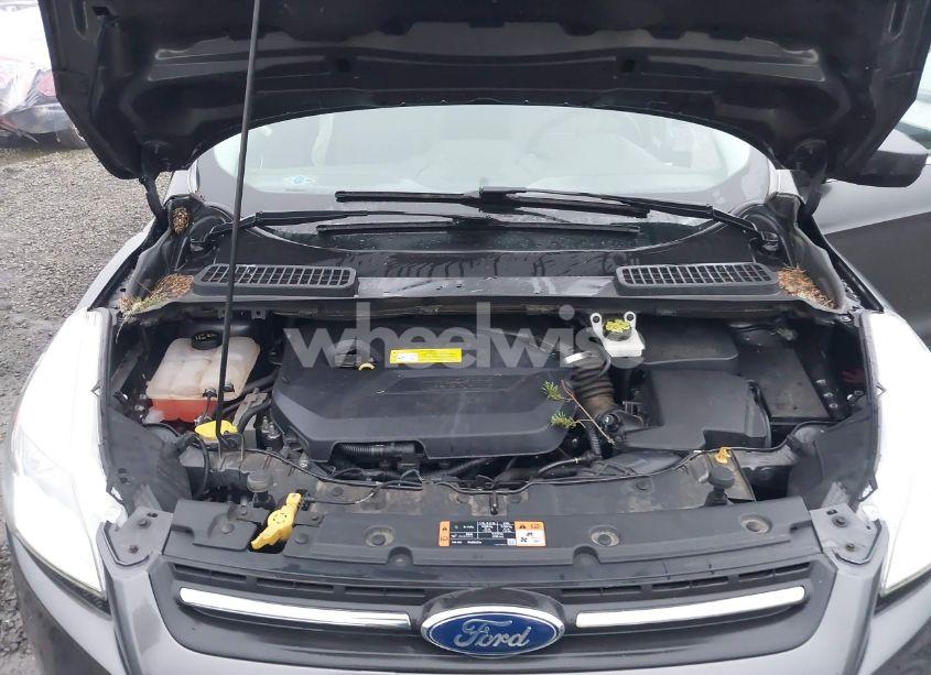 Photo 10 of 2015 Ford Escape SE (VIN 1FMCU9GX1FUC27252)