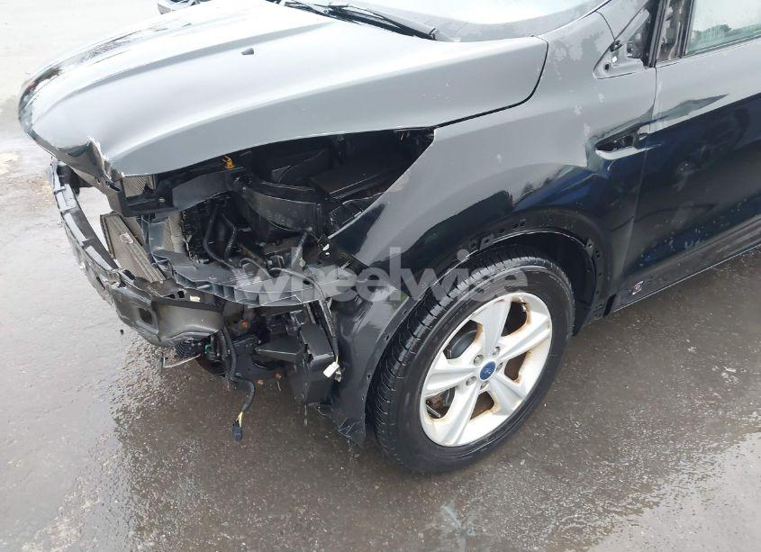 Photo 18 of 2016 Ford Escape SE (VIN 1FMCU9GX1GUB10014)