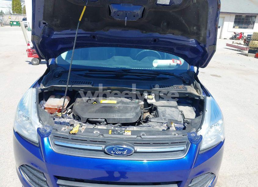 Photo 10 of 2016 Ford Escape SE (VIN 1FMCU9GX1GUB28870)