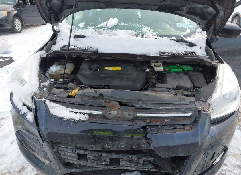 Photo 10 of 2016 Ford Escape SE (VIN 1FMCU9GX1GUB40906)