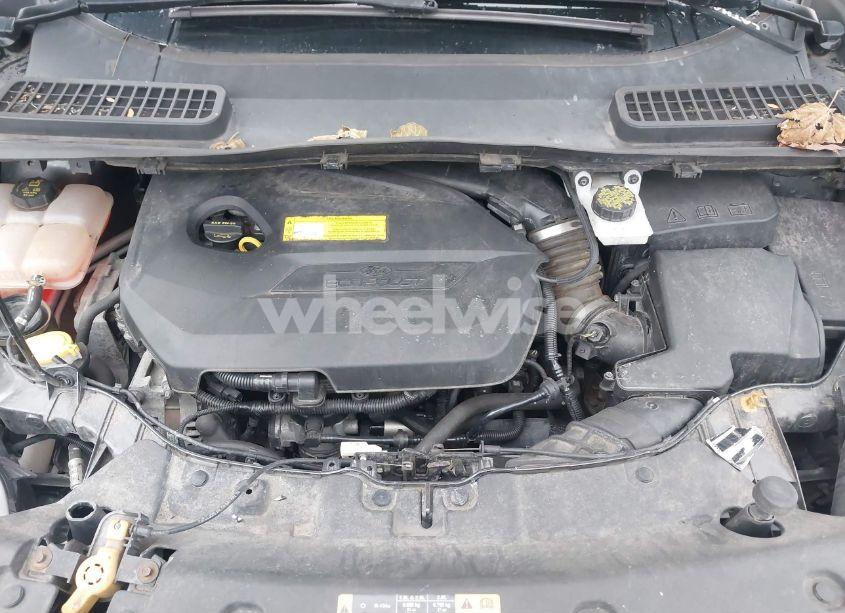 Photo 10 of 2016 Ford Escape SE (VIN 1FMCU9GX1GUB64445)