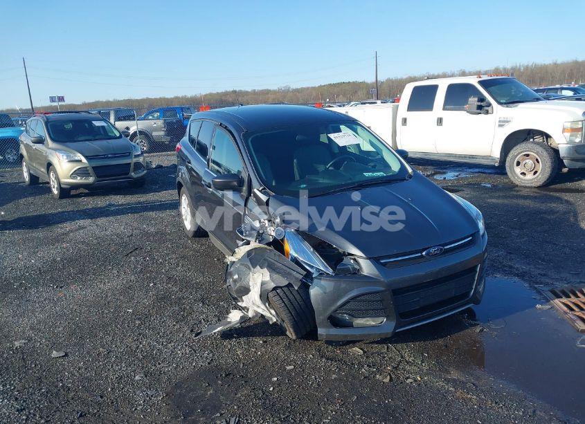 2016 Ford Escape SE (VIN 1FMCU9GX1GUB67636) main photo