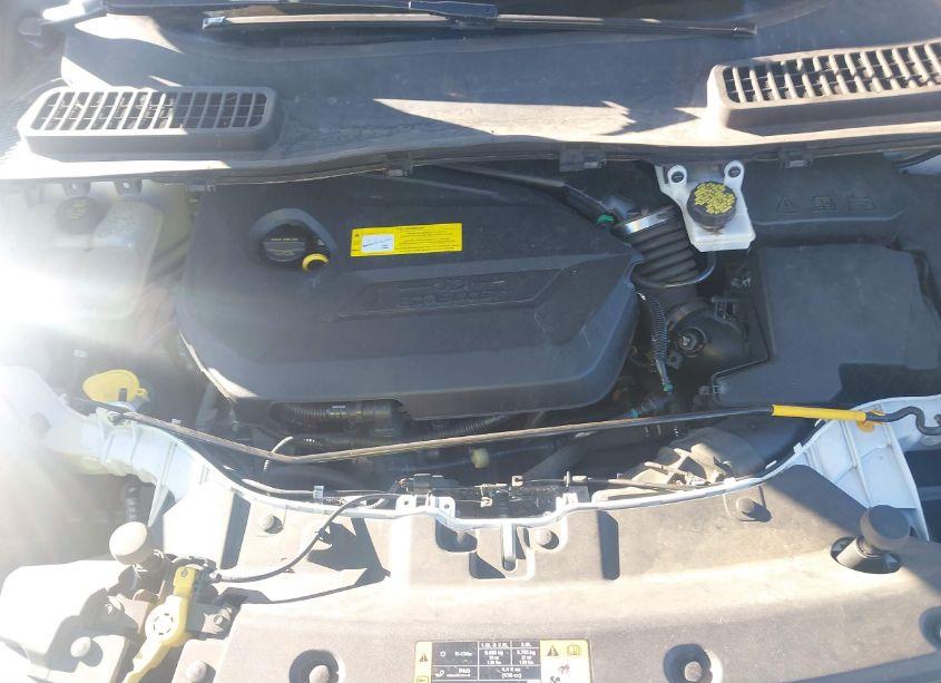 Photo 10 of 2016 Ford Escape SE (VIN 1FMCU9GX1GUB92858)