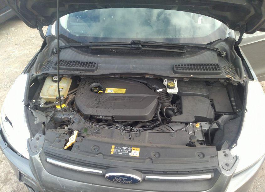 Photo 10 of 2013 Ford Escape SE (VIN 1FMCU9GX2DUA32578)