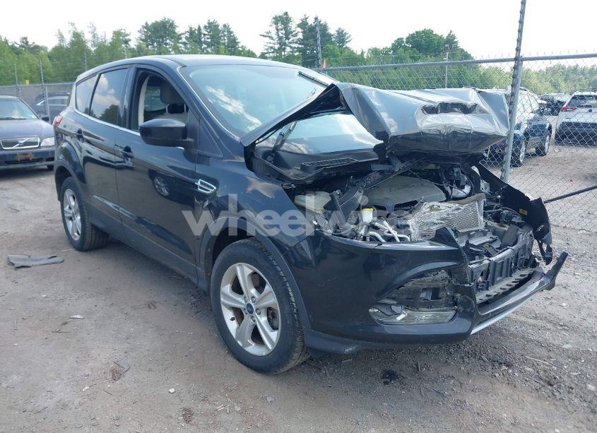 2013 Ford Escape SE (VIN 1FMCU9GX2DUD94894) main photo