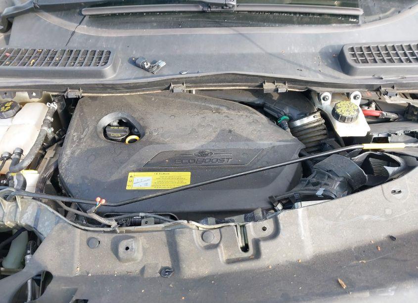 Photo 10 of 2014 Ford Escape SE (VIN 1FMCU9GX2EUA86237)