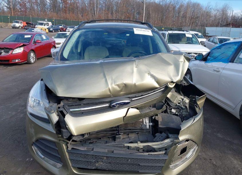 Photo 12 of 2014 Ford Escape SE (VIN 1FMCU9GX2EUA86237)