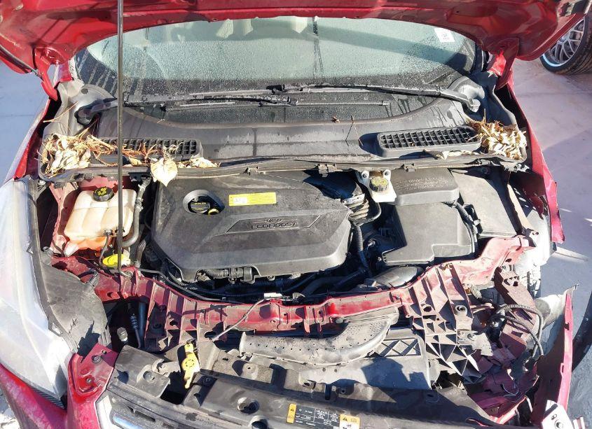 Photo 10 of 2014 Ford Escape SE (VIN 1FMCU9GX2EUB46789)