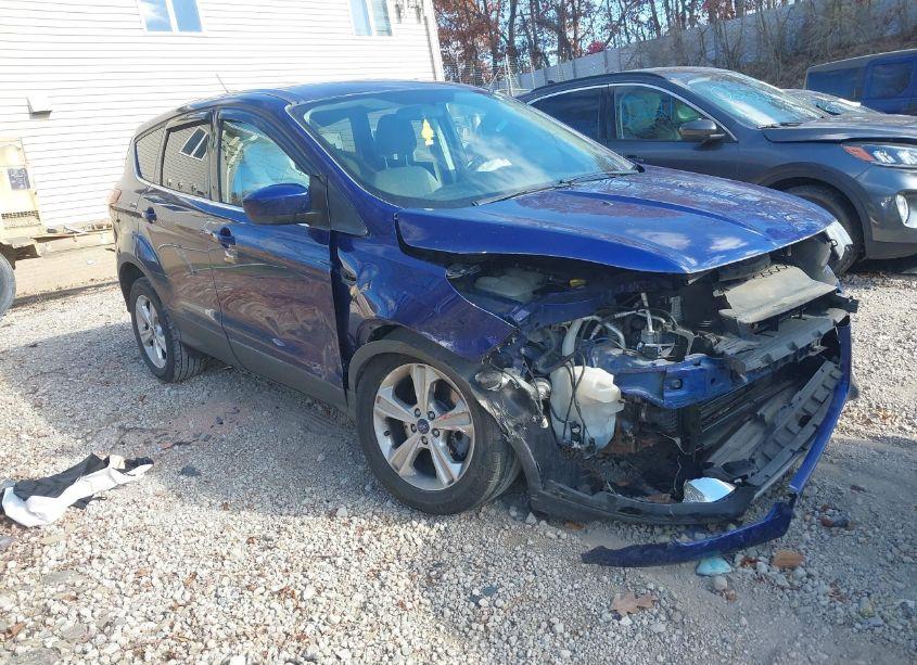 2014 Ford Escape SE (VIN 1FMCU9GX2EUB73491) main photo