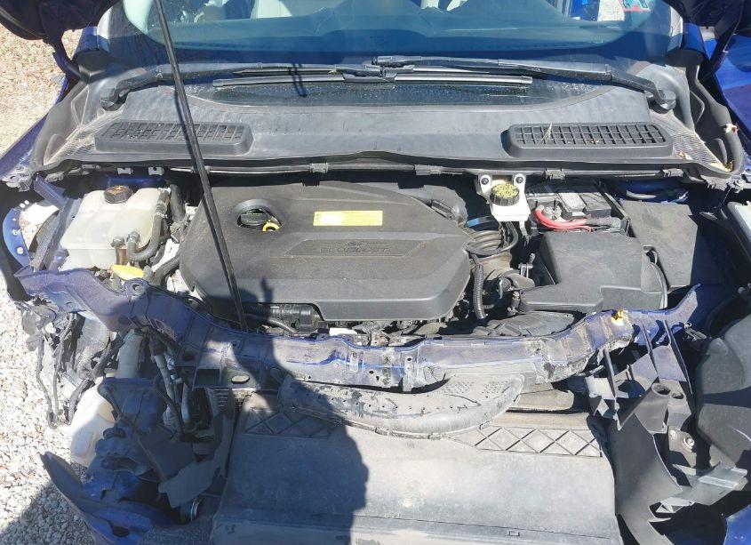 Photo 10 of 2014 Ford Escape SE (VIN 1FMCU9GX2EUB73491)