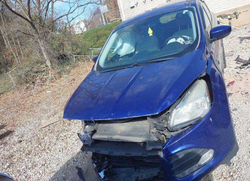 Photo 12 of 2014 Ford Escape SE (VIN 1FMCU9GX2EUB73491)