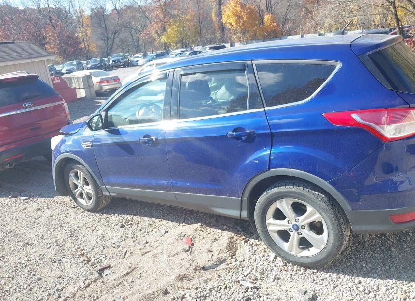 Photo 14 of 2014 Ford Escape SE (VIN 1FMCU9GX2EUB73491)