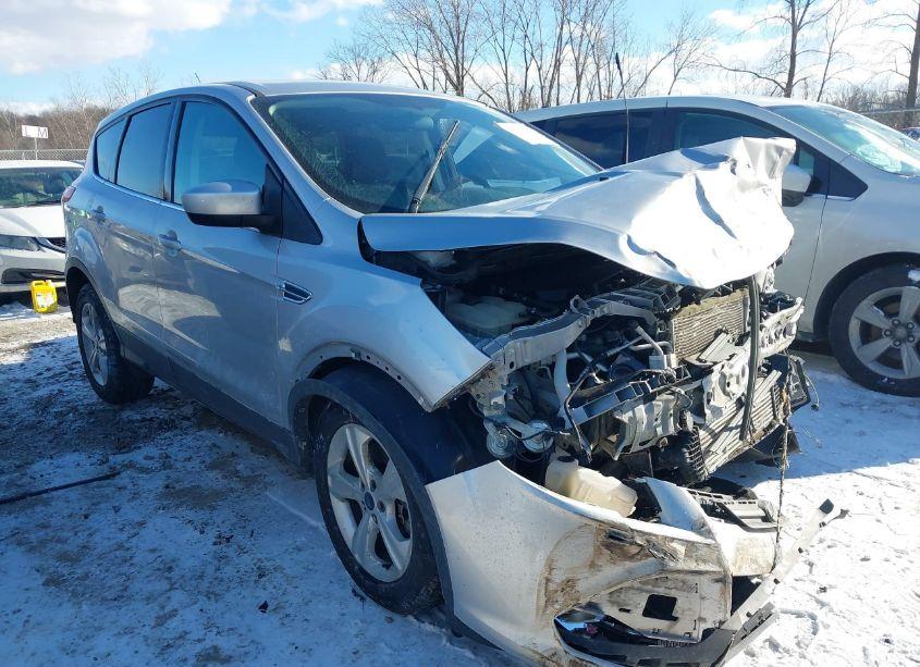 2014 Ford Escape SE (VIN 1FMCU9GX2EUC82923) main photo