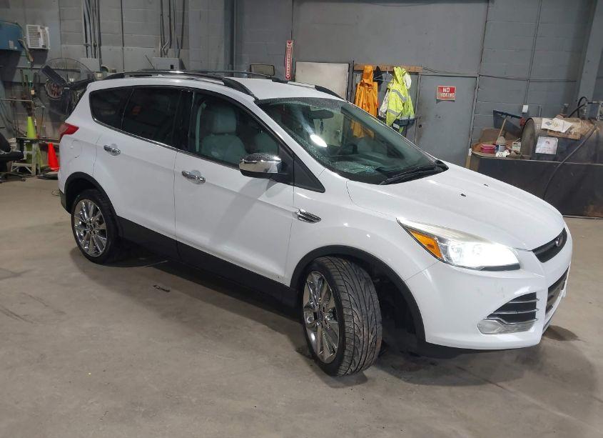 2014 Ford Escape SE (VIN 1FMCU9GX2EUC96918) main photo