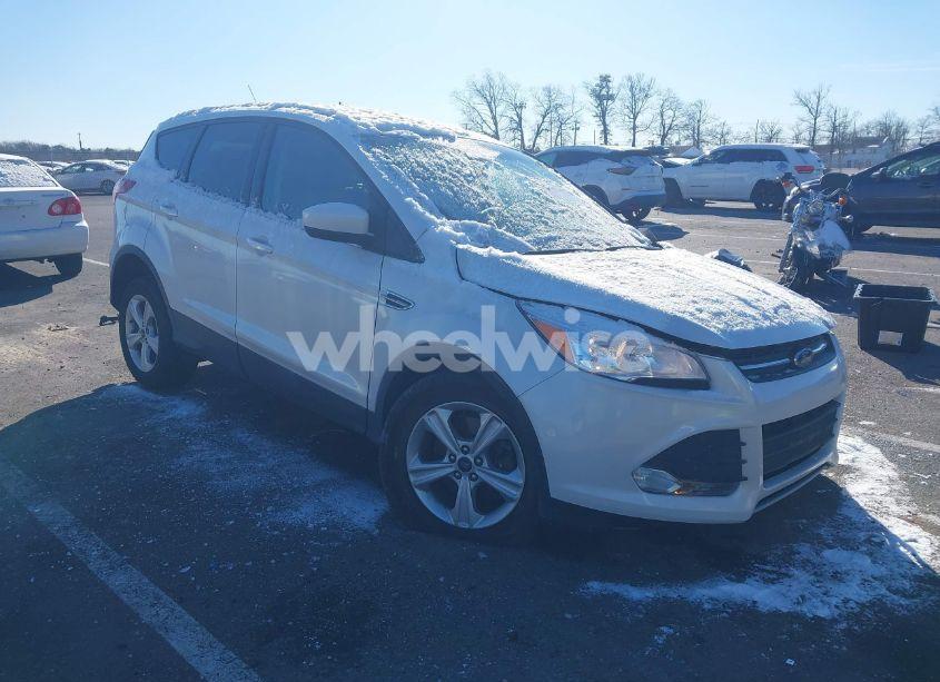 2014 Ford Escape SE (VIN 1FMCU9GX2EUD48211) main photo