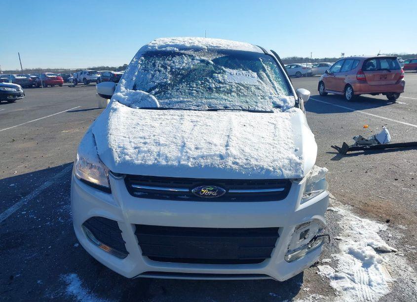 Photo 13 of 2014 Ford Escape SE (VIN 1FMCU9GX2EUD48211)