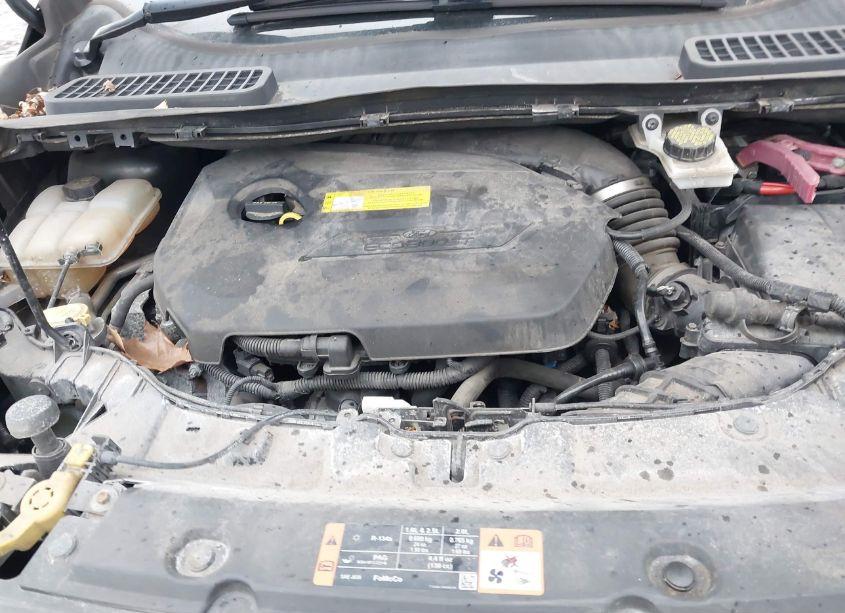 Photo 10 of 2015 Ford Escape SE (VIN 1FMCU9GX2FUB74335)