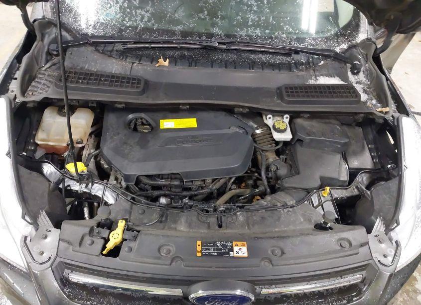 Photo 10 of 2016 Ford Escape SE (VIN 1FMCU9GX2GUA64175)