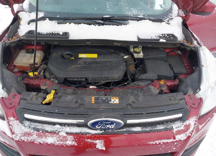 Photo 10 of 2016 Ford Escape SE (VIN 1FMCU9GX2GUA94244)