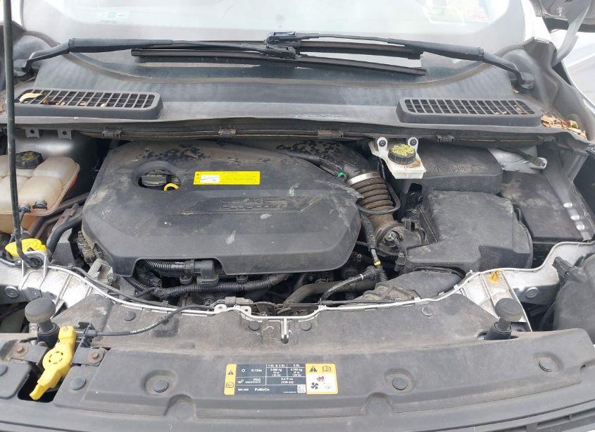 Photo 10 of 2016 Ford Escape SE (VIN 1FMCU9GX2GUB02438)