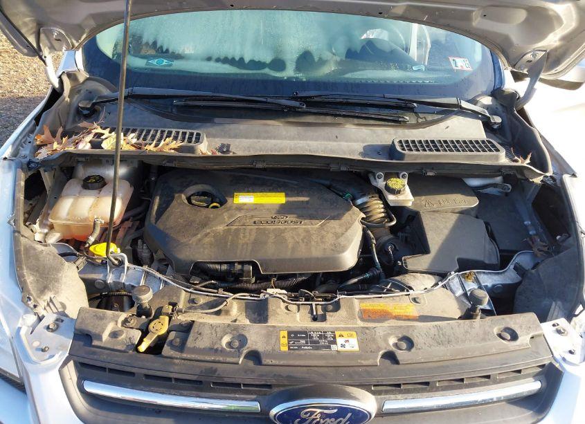 Photo 10 of 2016 Ford Escape SE (VIN 1FMCU9GX2GUC21896)