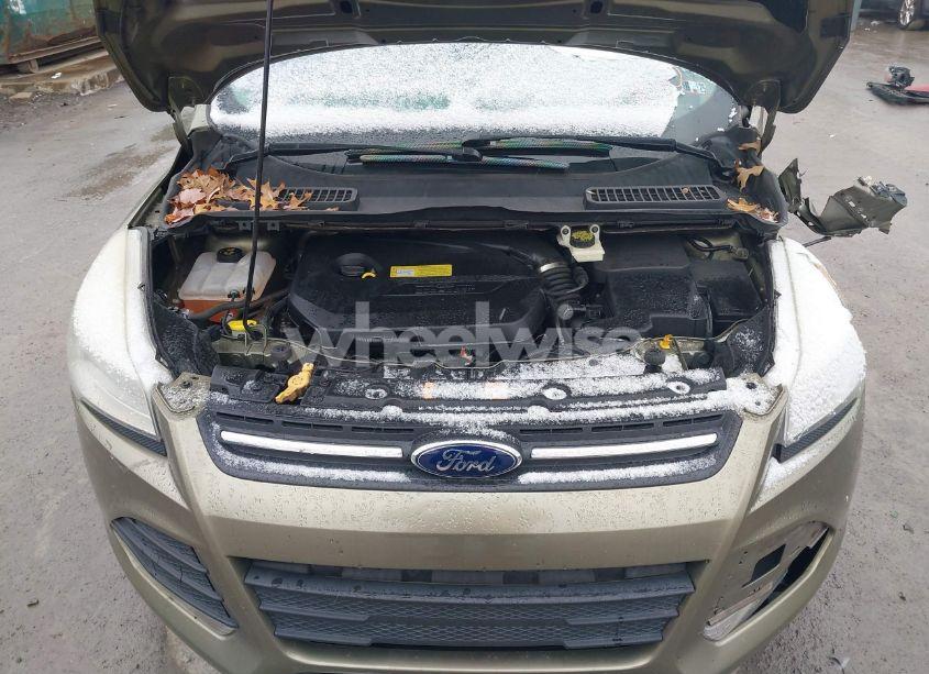 Photo 10 of 2013 Ford Escape SE (VIN 1FMCU9GX3DUB35850)