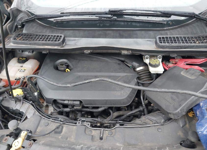 Photo 10 of 2013 Ford Escape SE (VIN 1FMCU9GX3DUB56276)