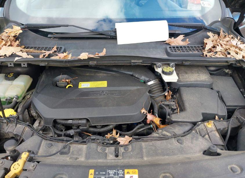 Photo 10 of 2013 Ford Escape SE (VIN 1FMCU9GX3DUC67930)