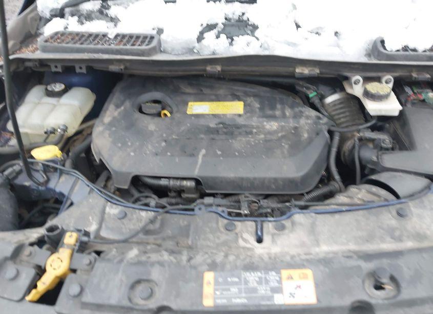 Photo 10 of 2013 Ford Escape SE (VIN 1FMCU9GX3DUC94190)