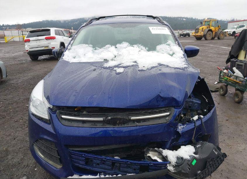 Photo 12 of 2013 Ford Escape SE (VIN 1FMCU9GX3DUC94190)