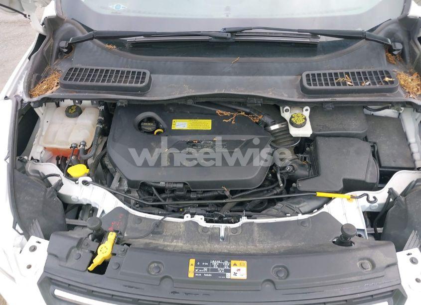 Photo 10 of 2014 Ford Escape SE (VIN 1FMCU9GX3EUA26323)