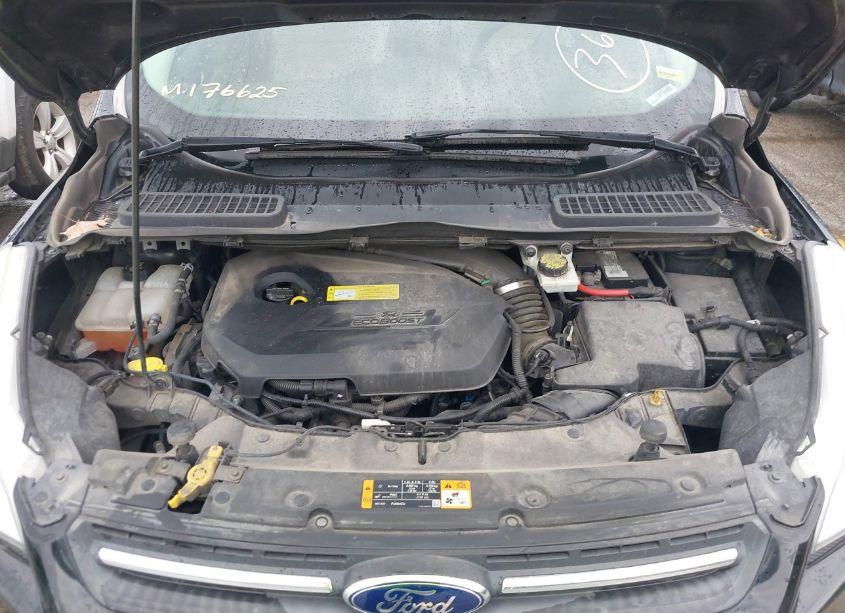 Photo 10 of 2014 Ford Escape SE (VIN 1FMCU9GX3EUA31148)